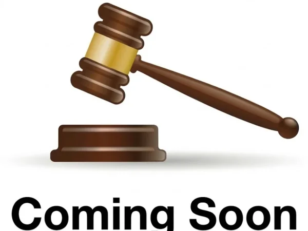 online auction of furniture and collectables with paper crafting items