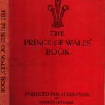 MICHAEL SOBELL CHARITY BOOKS — image 17