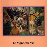 MICHAEL SOBELL CHARITY BOOKS — image 7