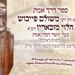 בעז”ה מכירת “חמדה גנוזה” 6 — image 21