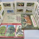 General Auction including Antiques & Collectables, Gold & Silver (14% Buyers Commission) — image 13