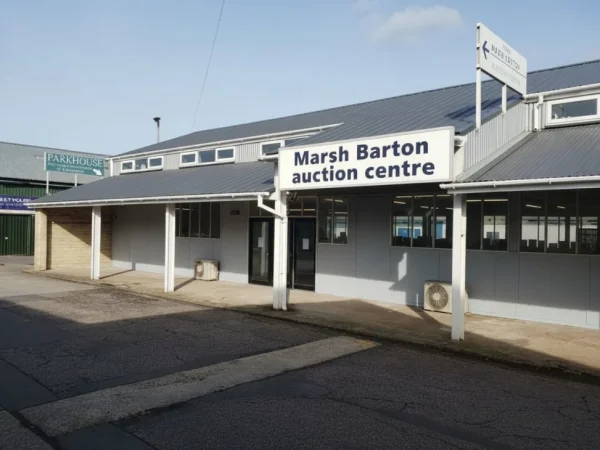 Marsh Barton Auction