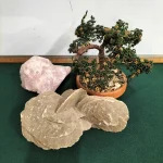 Antiques, Collectables, Curios, Clocks, Dress Jewellery, Vintage Toys, Tobacciana, and much more — image 21