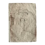 Auction 08 – A Legacy in Ink: A Rare Book & Autograph Sale from L’Autographe Auction — image 3