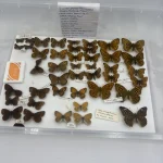 Another Great Auction 29th January — image 21