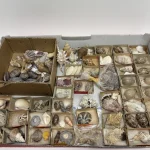 Monday 3rd August – Antiques, Jewellery, Militaria, Coins, Vinyl, Toys, Ceramics, Collectables — image 22