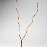 FINE TRIBAL & PRE-COLUMB – PRINCE COLLECTION — image 11