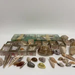 Monday 3rd August – Antiques, Jewellery, Militaria, Coins, Vinyl, Toys, Ceramics, Collectables — image 16
