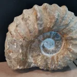 2 DAY GENERAL AUCTION MON/TUES 5pm 20%+Vat On HAMMER £1 MINIMUM — image 21