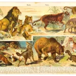 Original Vintage Posters – January Sale — image 12