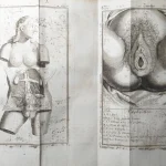 Auction 08 – A Legacy in Ink: A Rare Book & Autograph Sale from L’Autographe Auction — image 11