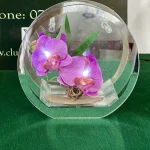 General Auction Including Antiques, Collectables, Gold & Silver (14% Buyers Commission) — image 11