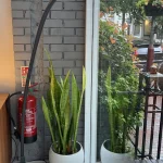 Liquidation of LIME MODERN LIVING LIMITED Containing High End Designer Interior Furniture Closing Monday 27th July From… — image 3