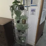 Collective Estate Clearance :- including garden reclaim & Salvage, Rustic pine & re-enactment lots — image 2