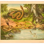 Original Vintage Posters – January Sale — image 16