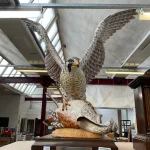 Live Weekly Auction of Collectables, Antiques, Jewellery, Coins, Furniture, Vintage Items, Tools, Household Items & M… — image 1
