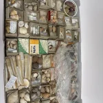 Monday 3rd August – Antiques, Jewellery, Militaria, Coins, Vinyl, Toys, Ceramics, Collectables — image 23