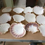 Live Weekly Auction Now with In-Room Bidding at Colne of Collectables, Antiques, Jewellery, Wristwatches, Fabrics… — image 21