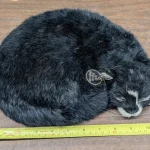 Our Fortnightly General Sale with Modern, Antiques & Collectables: **Please Read Long Description as by Bidding You are… — image 23