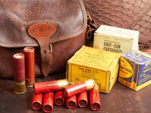 Ammunition and Accessories 7