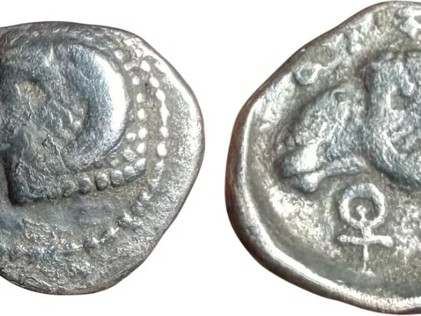 E-Auction 11