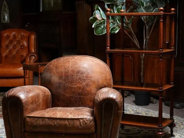 Furniture & Rugs