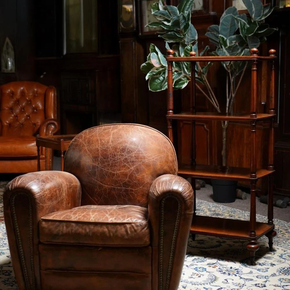 Furniture & Rugs