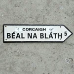 THE CHARITY ONLINE/LIFE AUCTION FOR THE IRISH CANCER SOCIETY — image 7