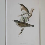 Antique prints and engravings — image 17