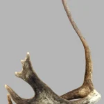 2 DAY GENERAL AUCTION MON/TUES 5pm 20%+Vat On HAMMER £1 MINIMUM — image 11