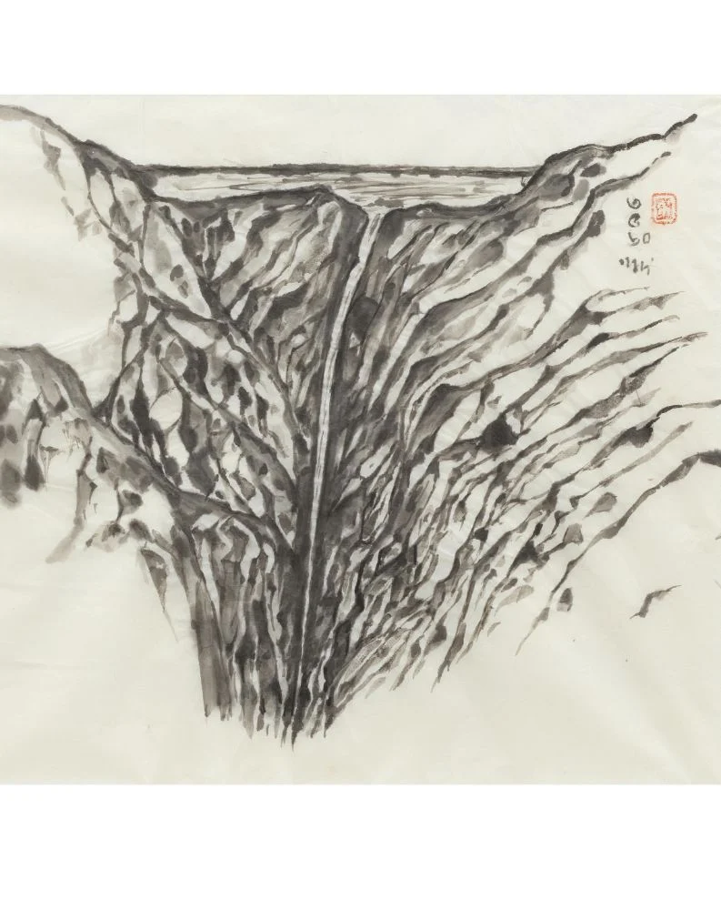 Modern and Contemporary South Asian Art