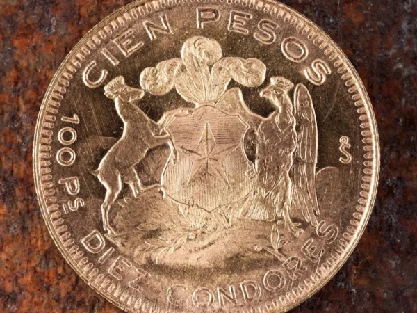 The Coins Auction