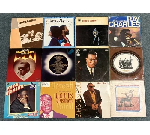 Timed Auction – Vinyl Records