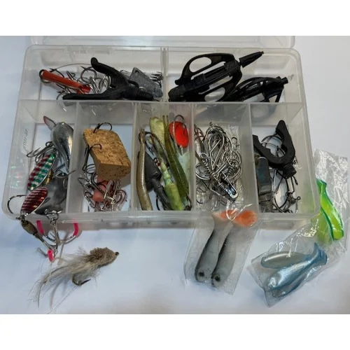 Timed Fishing Auction