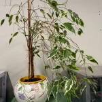 Clear This Ltd House Clearance Auction — image 18