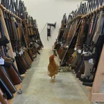 Autumn Trade Firearms and Airguns Sale — image 1