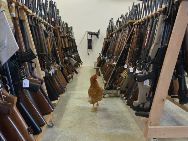 Autumn Trade Firearms and Airguns Sale