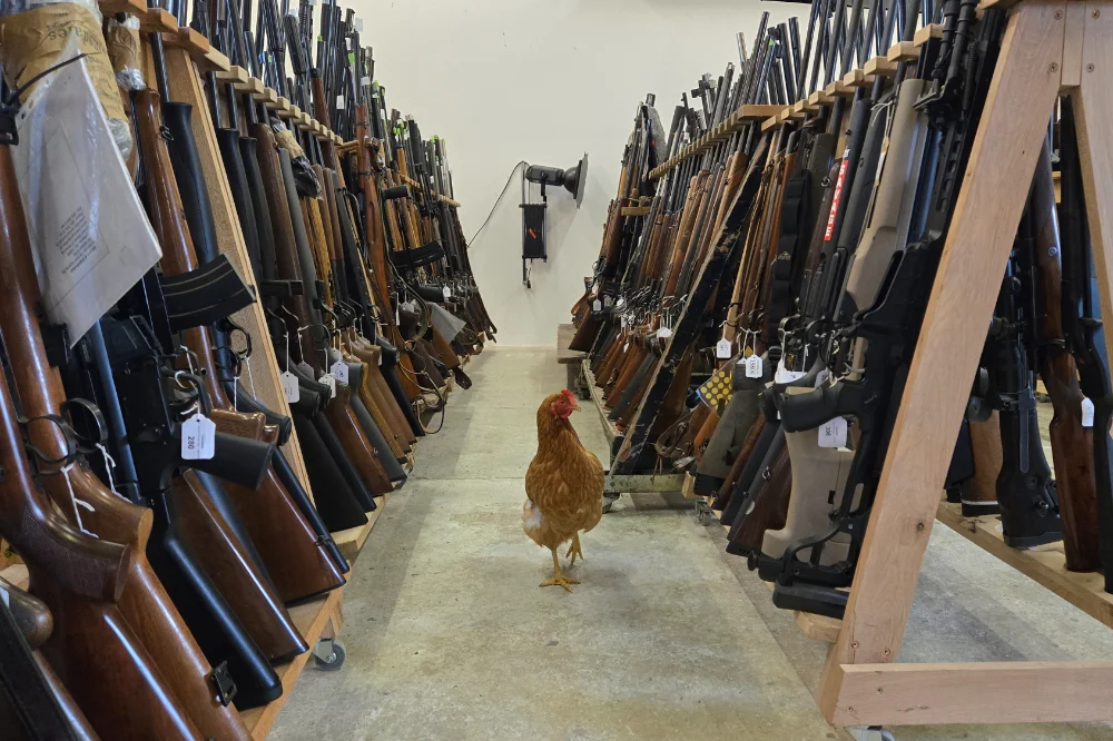 Autumn Trade Firearms and Airguns Sale