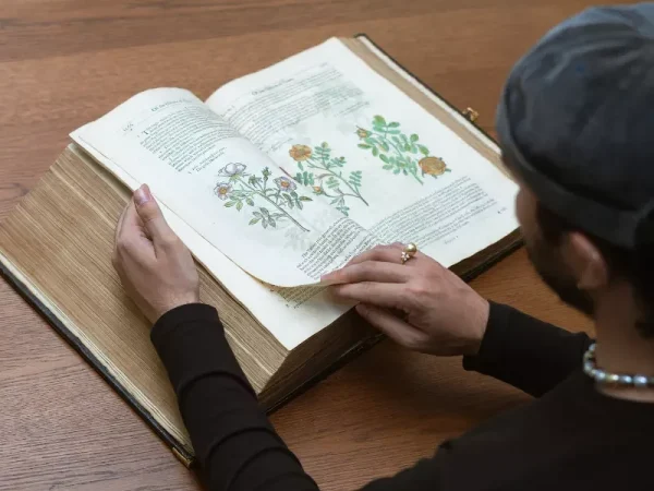 Books & Works on Paper