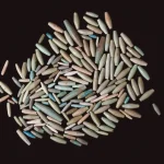 ANCIENT ART AND ANTIQUITIES — image 8