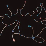 ANCIENT ART AND ANTIQUITIES — image 19
