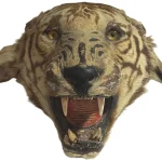 General Sale to include: Gold & Silver – Antiques & Collectibles – Militaria – Die-Cast Models – Vintage & Retro & Much… — image 1