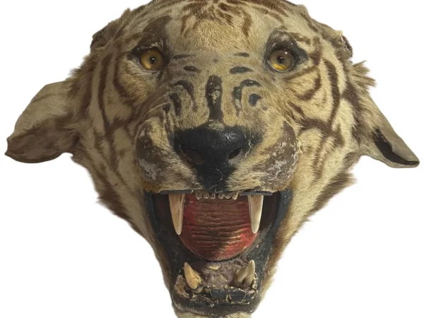 General Sale to include: Gold & Silver – Antiques & Collectibles – Militaria – Die-Cast Models – Vintage & Retro & Much…