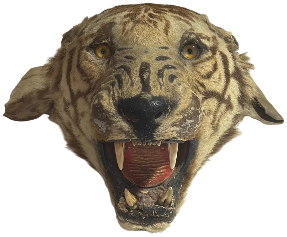 General Sale to include: Gold & Silver – Antiques & Collectibles – Militaria – Die-Cast Models – Vintage & Retro & Much…