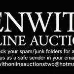 Weekend Only 48 Hour TIMED Online Auction — image 2