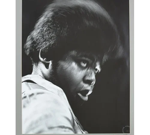 The Guitar Auction – Five Day Sale – Including the Julia & Gered Mankowitz Collection