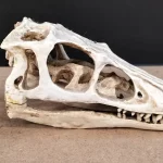 GENERAL AUCTION MONDAY 5pm 20%+Vat On HAMMER £1 MINIMUM — image 18