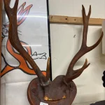 General Auction — image 5