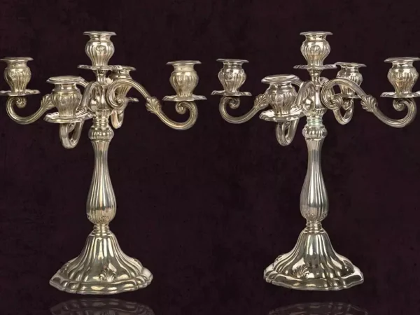 Silver & Luxury Accessories