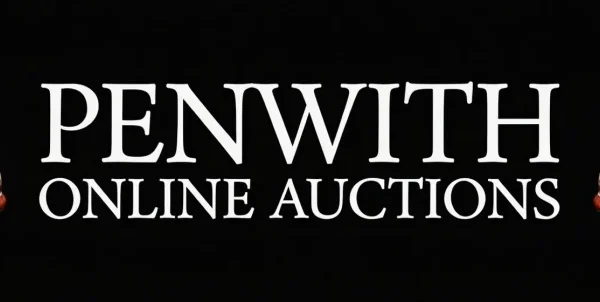 Weekend Only 48 Hour TIMED Online Auction